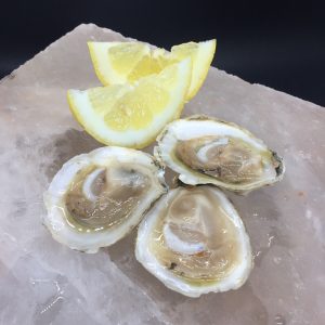 Ostra Unidad